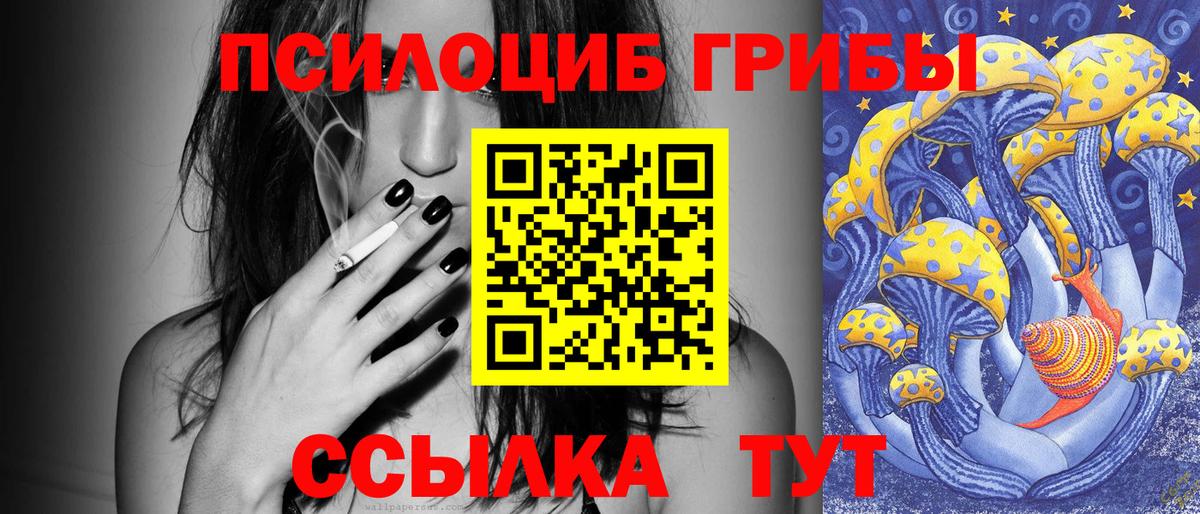 Псилоцибиновые грибы Psilocybine cubensis Полевской