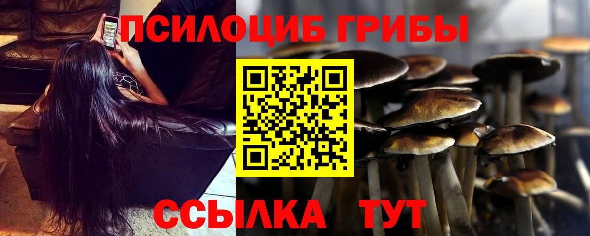 Полевской  Псилоцибиновые грибы Cubensis  Вход с VPN  Галлюциногенные грибы Magic Shrooms 